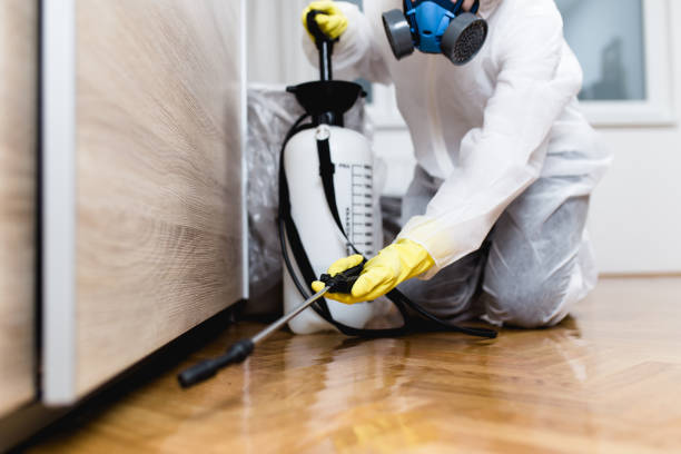 Best Insect Control  in St Jaco, IL