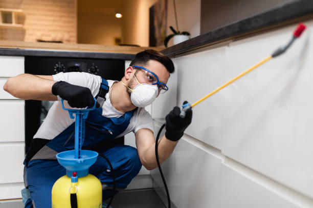 Pest Prevention Services in St Jaco, IL