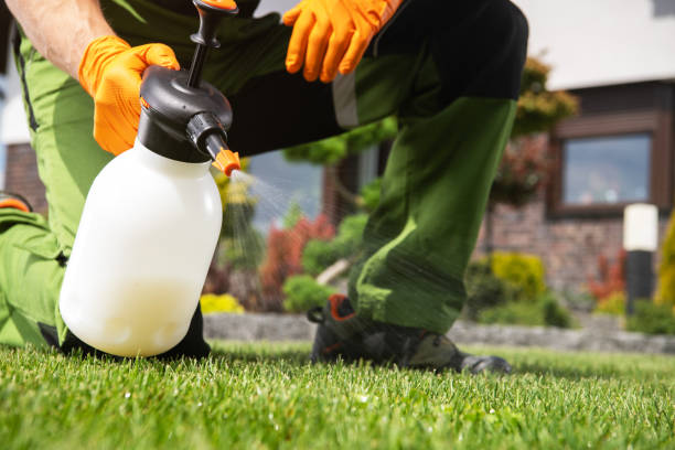 Best Exterminator Services  in St Jaco, IL