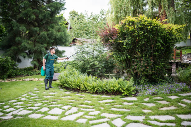 Best Pest Inspection Near Me  in St Jaco, IL