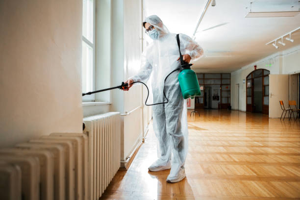 Best Emergency Pest Control  in St Jaco, IL