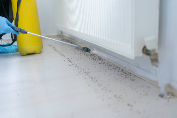 Best Cockroach Control Services  in St Jaco, IL