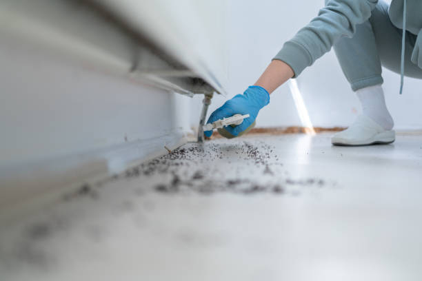 Best Pest Control Cost  in St Jaco, IL