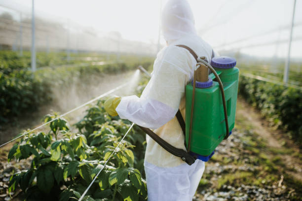 Best Wildlife Control Services  in St Jaco, IL